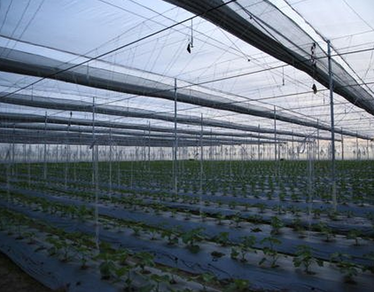 Agriculture Roofing System